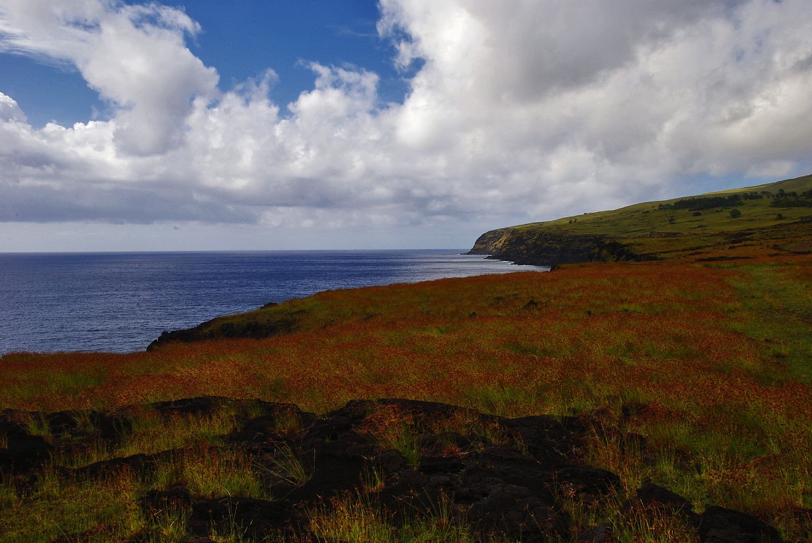 Orongo e Rano Kau