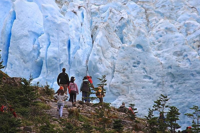 Glaciar Grey (icebergs)